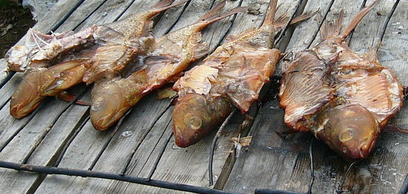 Лещ горячего копчения