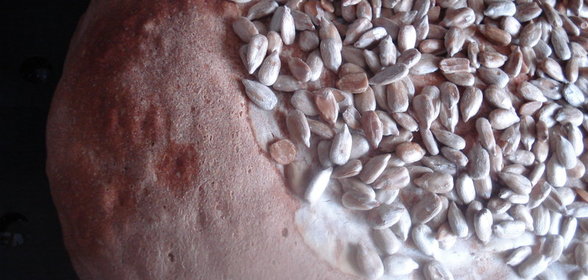 ХЛЕБУШЕК-ПОДСОЛНУШЕК