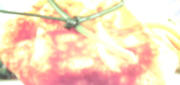 Из гадкого утенка.....в лебедЯ