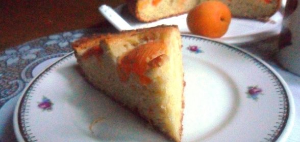 Грибное рагу