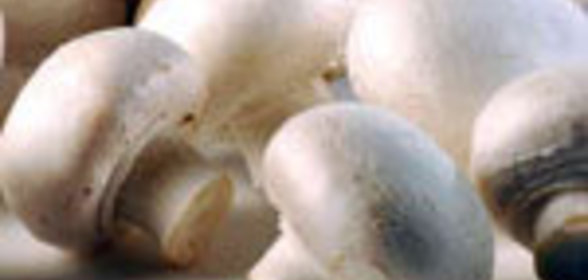 Шампиньоны по-гречески