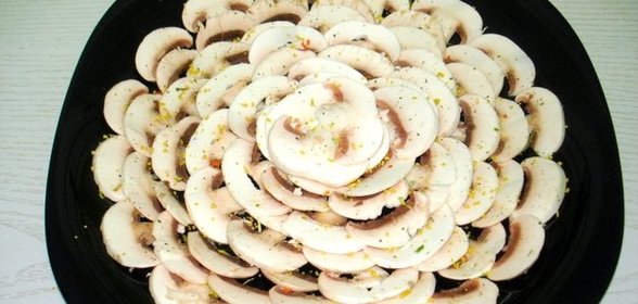 Грибы закусочные