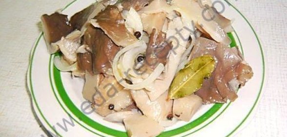 Вешенки быстрого приготовления