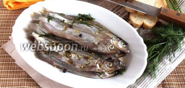 Мойва солёная