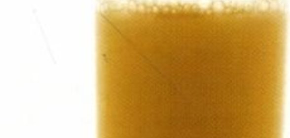 Голубцы, завернутые в листья белокачанной капусты