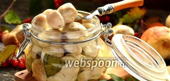 Белые маринованные грибы