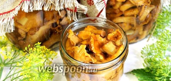 Маринованные лисички на зиму