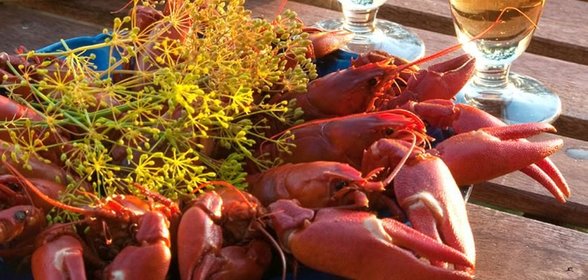 Раки в пиве