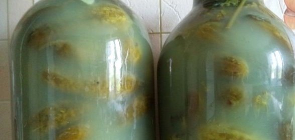 Соленые огурцы без уксуса на зиму