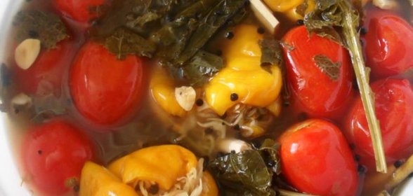 Туршу по-гагаузски