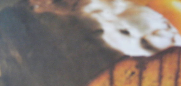 Пирог графини