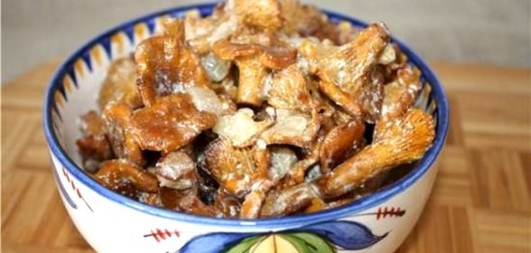 Лисички в сметане в мультиварке