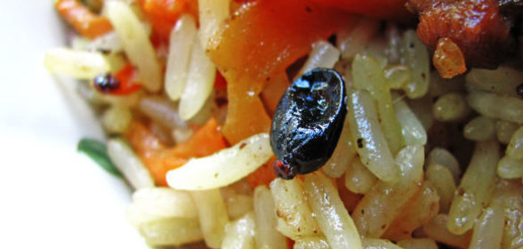 Пирог с ягодами в глазури