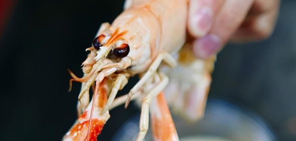 Раки по-шведски