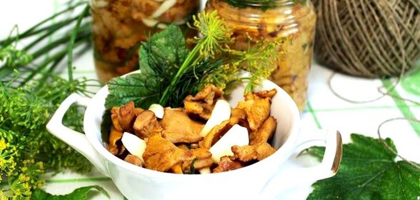 Лисички солёные горячим способом