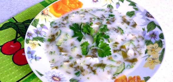 Холодник из щавеля