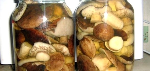 Соленые подберезовики