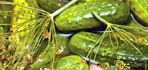 Огурцы Сказка