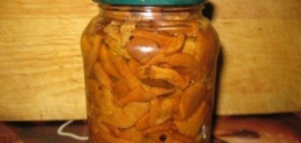 Маринованные лисички с яблочным уксусом