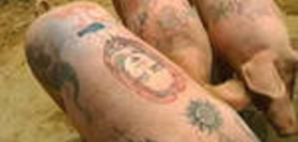 гречневый хлеб с грецкими орехами для ХП