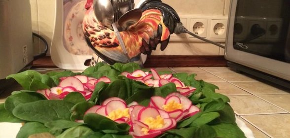 Новогодняя фиалка