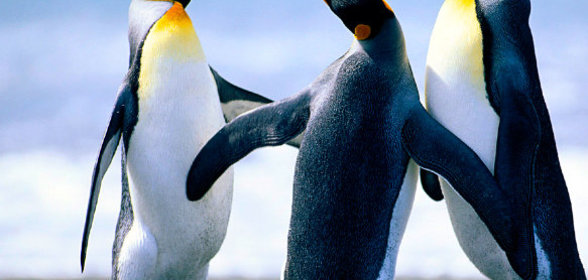 Оршадный сироп с ячменным отваром