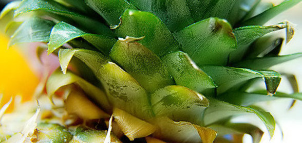 конфитюр Пина-Колада в два приема