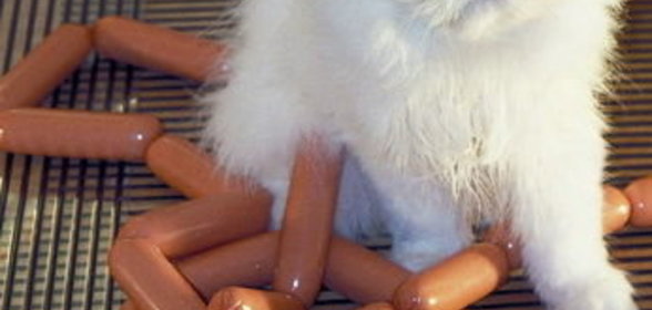 Соус смородинно-малиновый