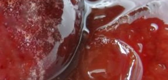 Варенье из слив с косточками