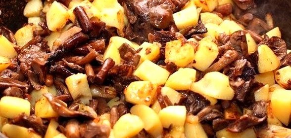 Картошка с опятами в сметане