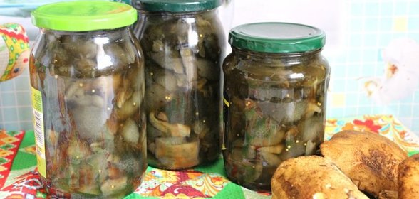 Маринованные моховики на зиму