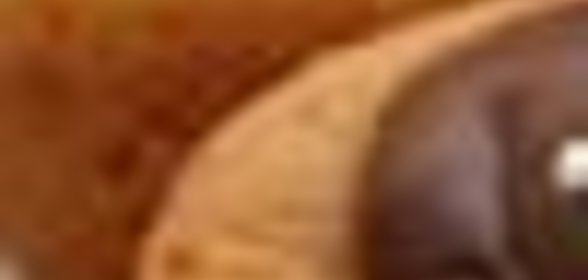 Икра из чеснока