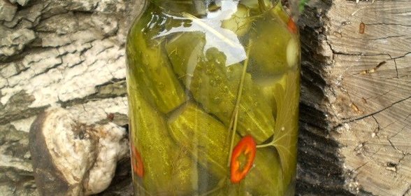Закатка огурцов на литровую банку
