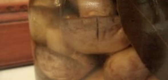 Шампиньоны консервированные