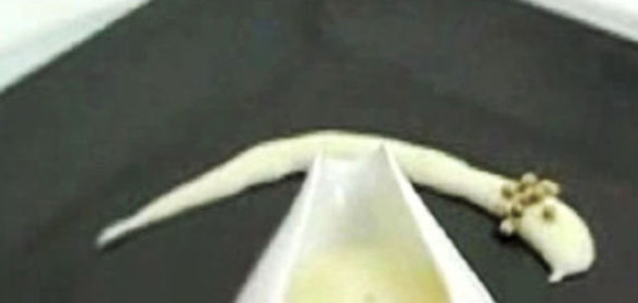 Простой соус бешамель