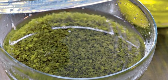 Соус Банья кауда