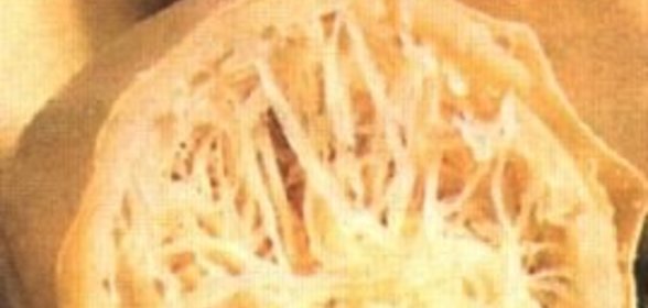 Соус жу - мясной сок