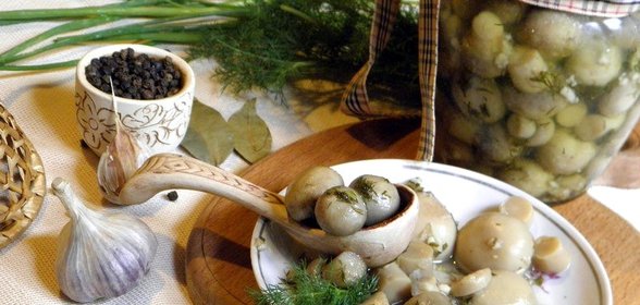 Маринованные шампиньоны с чесноком