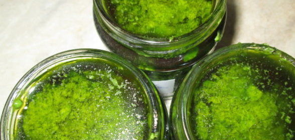 Соус Сальса верде (Salsa verde, Bagnetto)