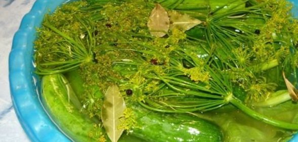 Малосольные огурчики по бабушкиному рецепту