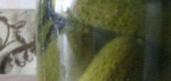 Консервированные малосольные огурцы