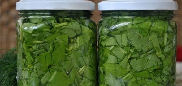 Щавель на зиму (консервация)