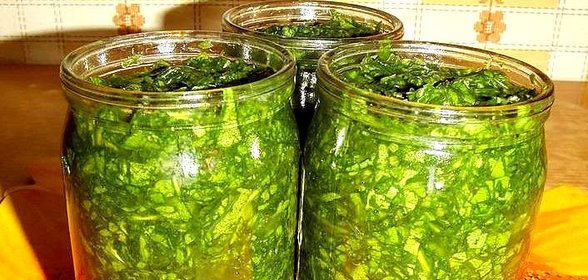 Щавель консервированный