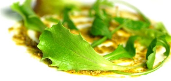 Песто из лимонов, базилика и кедровых орешков