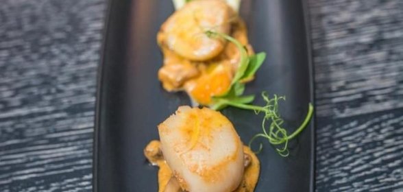 Гребешки на гриле с грибным фрикасе и маслом из физалиса