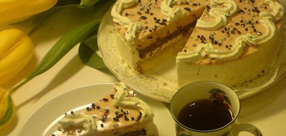 Торт «Клюквенно-яблочное настроение