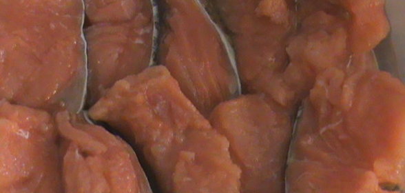 Кижуч соленый