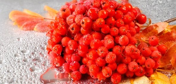 Варенье из сладкой рябины