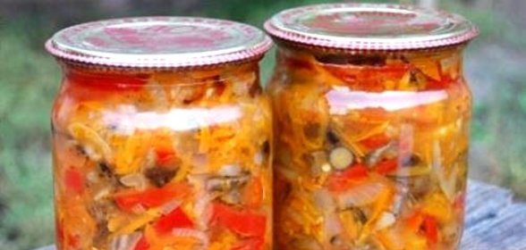 Солянка на зиму без капусты