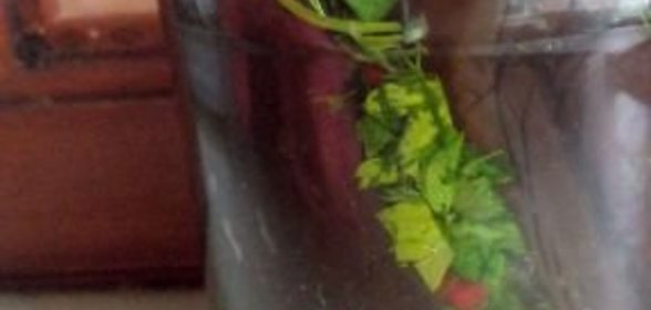 Баклажаны квашеные